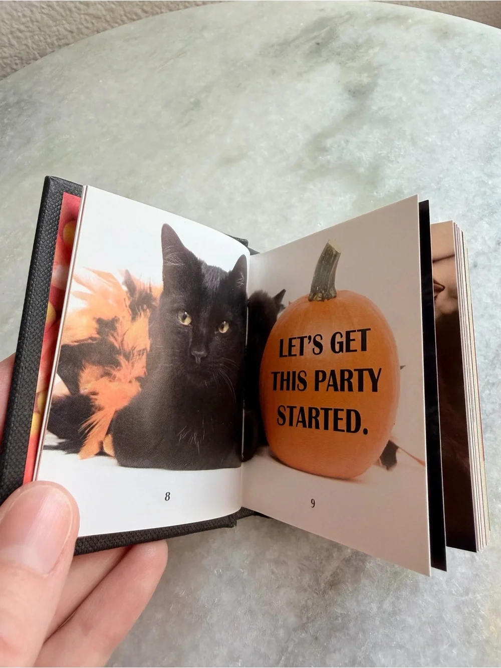 N/A scaredy cats